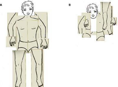 The Dancers’ Visuospatial Body Map Explains Their Enhanced Divergence in the Production of Motor Forms: Evidence in the Early Development